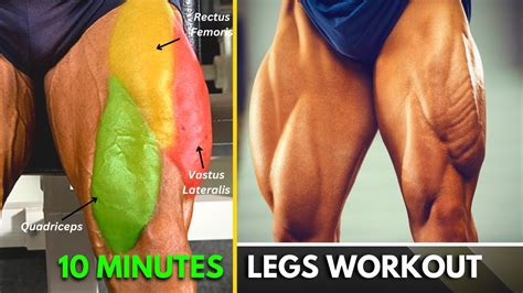 Killer Leg Exrcises To Grow Your Legs In Days Fitmology Youtube