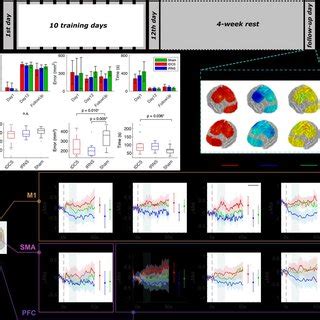 Bimanual Motor Task Performance And Functional Brain Activation For The