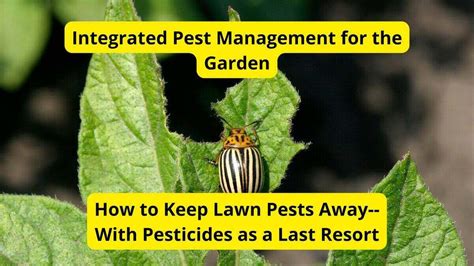 Integrated Pest Management For The Garden Lawn Care Blog Lawn Love