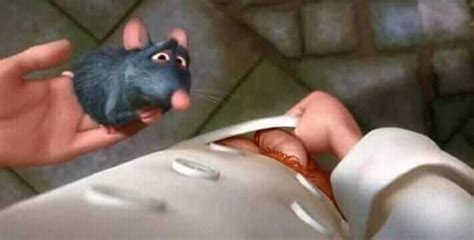 Ratatouille