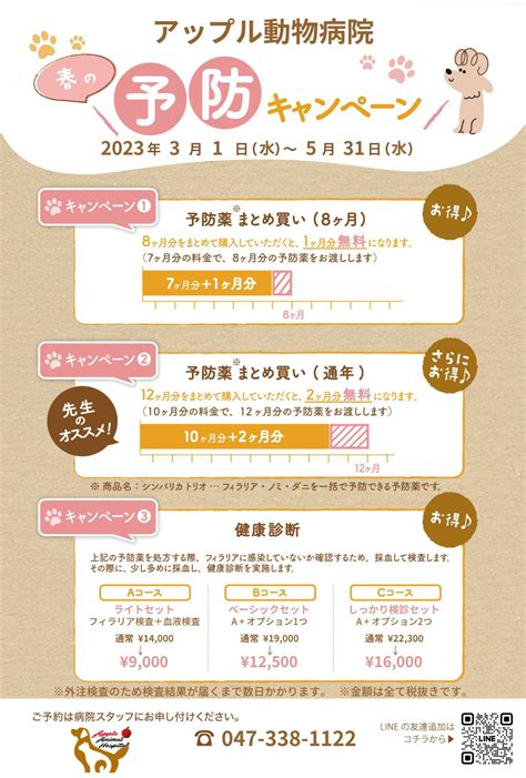 【期間限定】春の健康診断キャンペーンはじめました 千葉県市川市の動物病院「アップル動物病院」循環器科