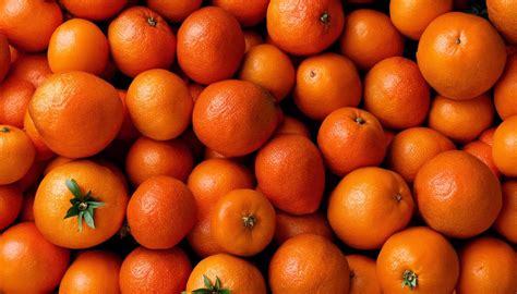 Cara Cara Oranges Vs Blood Oranges: A Detailed Comparison - Gardeners Grail