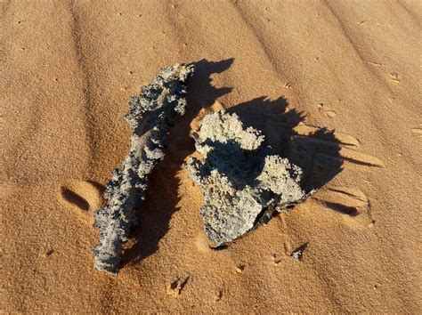 Lightning Glass! (Fulgurite) How It's Formed And Where To Find It ...