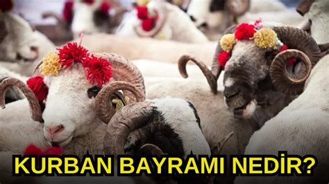 Kurban Bayram Nedir Kurban Bayram N N Anlam Nedir F Rt Na Haber