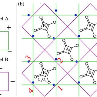 Color Online B Schematic 2D Square Lattice Showing The Leading