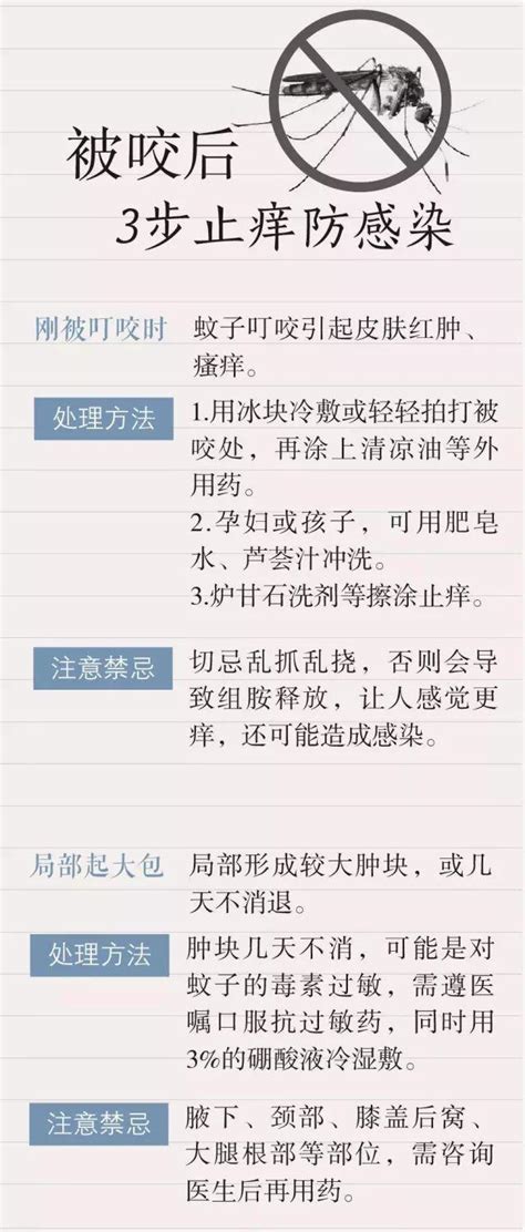 夏天到了，这份驱蚊秘笈一定很适合你！ 每日头条