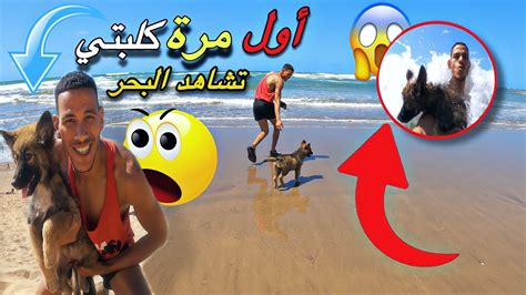 أول مرة كلبتي تسبح في البحر 😱كدنا نغرق🥶وقعة كارثة 🥹 Youtube