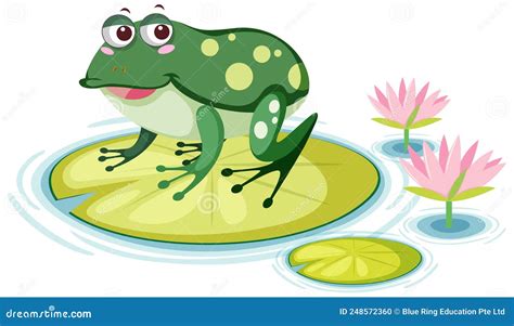 Cute Frog On Lily Pad On White Background Stock Vector Illustration Of Cute Cartoon 248572360