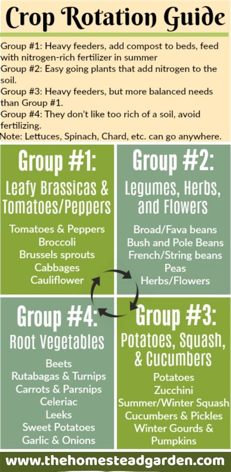 Crop Rotation Guide Crop Rotation Organic Gardening Tips Garden Soil