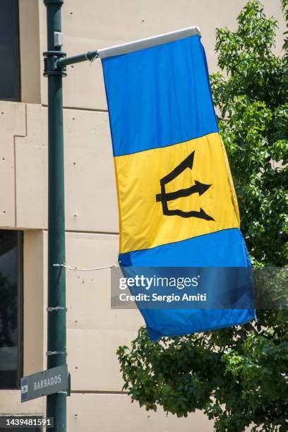 Barbados Flag Colors Photos and Premium High Res Pictures - Getty Images