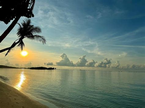 Brilliant Hotel And Staff Review Of Chaweng Regent Beach Resort