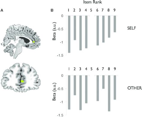 Activity In Mpfc Shows A Linear Correlation With Rank In The Self