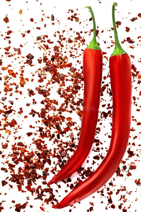 Red Hot Chili Pepper Isolated White Background Stock Image Image Of