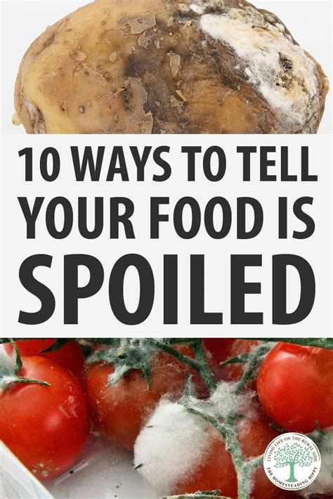 Ways To Tell Your Food Is Spoiled The Homesteading Hippy Food