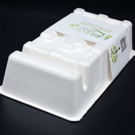 Biodegradable Bagasse Pulp Molded Eyelash Packaging Tray Kinyi