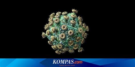 Begini Tahapan Infeksi HIV Hingga Menjadi AIDS