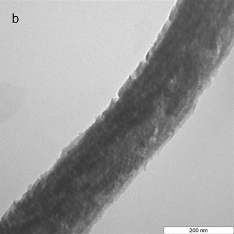 TEM pictures of carbon fibres obtained over the Ni-Cu/Al2O3 catalyst at ...