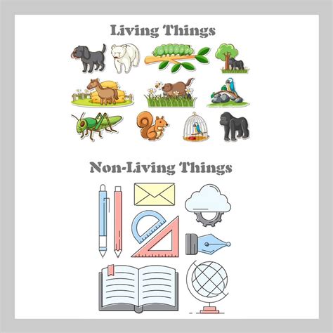 Living Things & Non-Living Things – Definition, Examples, And ...