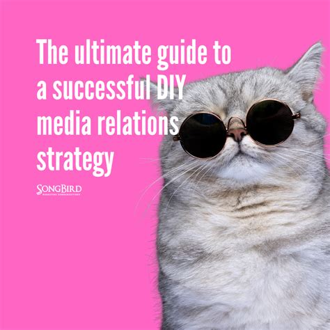 The Ultimate Guide To A Successful Diy Media Relations Strategy