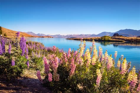 Lake Tekapo South Island New Zealand Mindfood