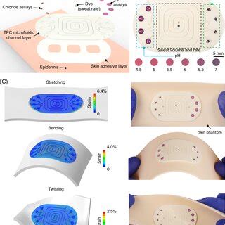 Soft Environmentally Biodegradable Microfluidic Devices For Sweat