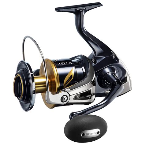 Moulinet Shimano Stella Sw C 2019 Philippe Pêche Boutique