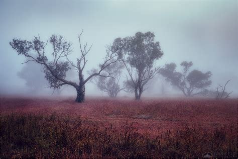 Chasing Shadows Landscape And Rural Photos Darkelf Photography