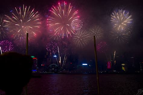 Adventures With Teddy — Teddy watches the Chinese New Year fireworks ...