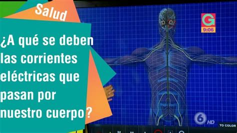 Sentir Electricidad En El Cuerpo Ansiedad Actualizado Junio