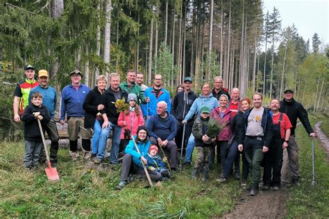 Schatzsucher pflanzen bei Bobenneukirchen 800 Bäume