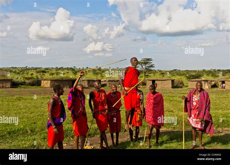 Masai Mara National Park Kenya Africa Masai Warriors Maasai Jumping