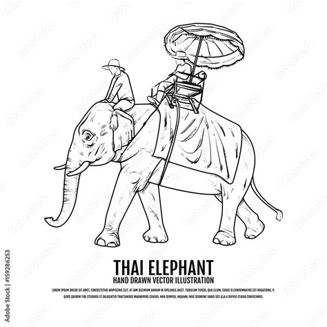 Thai Elephant. Elephant Hand Drawn vector Illustration. Travel Thailand ...