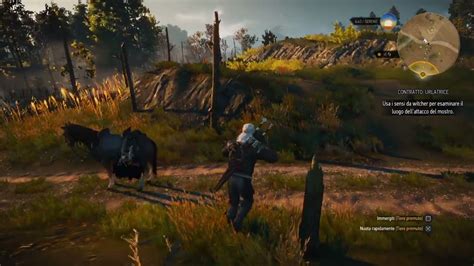 The Witcher 3 Bug Water Grass Youtube