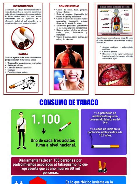 Infografía Y Tríptico Tabaco Pdf