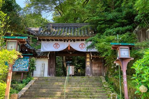 Shamisen Lesson And Performance At A Buddhist Temple In Kyoto