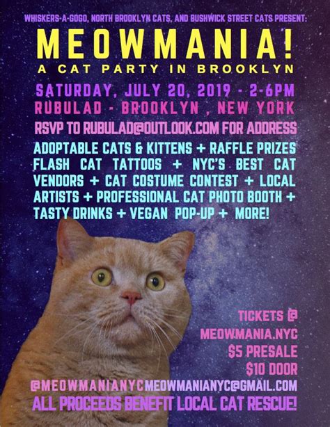 Meowmania Comes To Bushwick For Its Third Annual Cat Party And Rescue