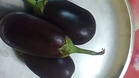 बैंगन खाने के 22 चमत्कारिक फायदे 22 Benefits Of Eating Brinjal Youtube