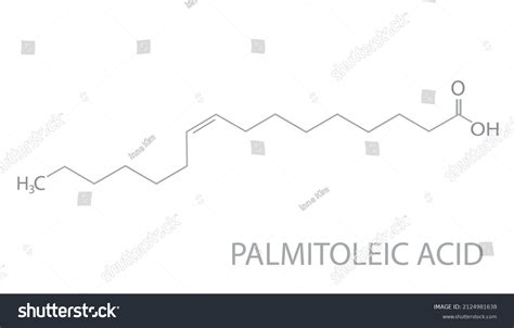 Palmitoleic Acid Molecular Skeletal Chemical Formula Stock Vector