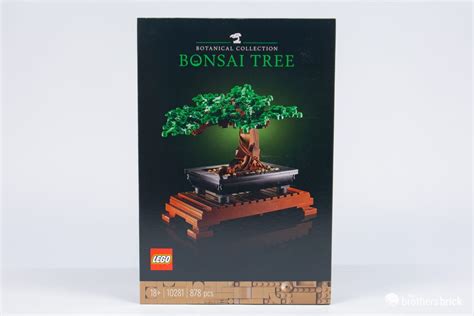 LEGO Botanical Collection 10281 Bonsai Tree TBB Review 6CY86 1 The