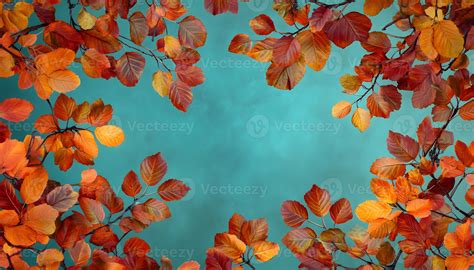 autumn leaves frame  teal background  stock photo  vecteezy