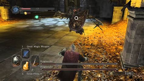 Dark Souls 2 How To Beat The Two Dragonrider Bosses YouTube