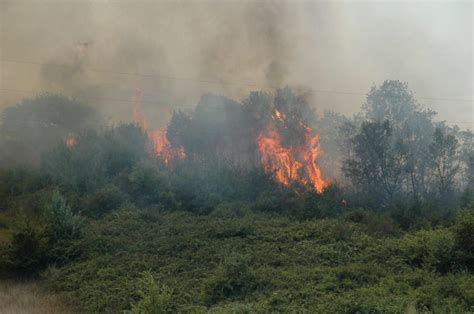 In Sardegna è allarme incendi 22 roghi segnalati in 24 ore DIRE it