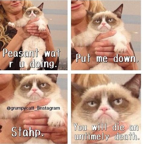 Pin By Khari Saia On Lolerburgers Funny Grumpy Cat Memes Funny Cute