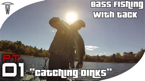 Fall Bass Fishing Catching Dinks Pt 1 Youtube
