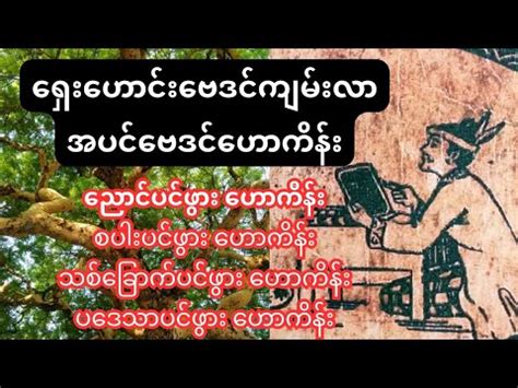 သငဘယအပငဖလ YouTube