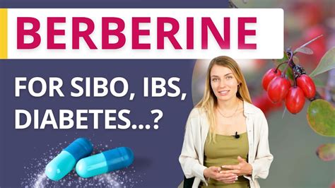 Berberine Gut Health Diabetes Miracle Benefits Risks And Tips