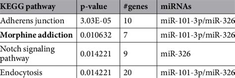 Pathways Dysregulated In The Dys −− Retina Microt Cds Prediction