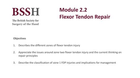 Hand Flexor Tendon Repair Basics 40 Characters Ppt