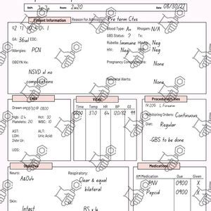 Report Sheet Bundle Antepartum Intrapartum And Postpartum Digital