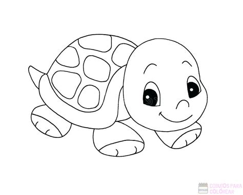 Dibujos De Tortugas Para Colorear